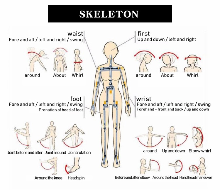 Sex Doll Skeleton.jpg
