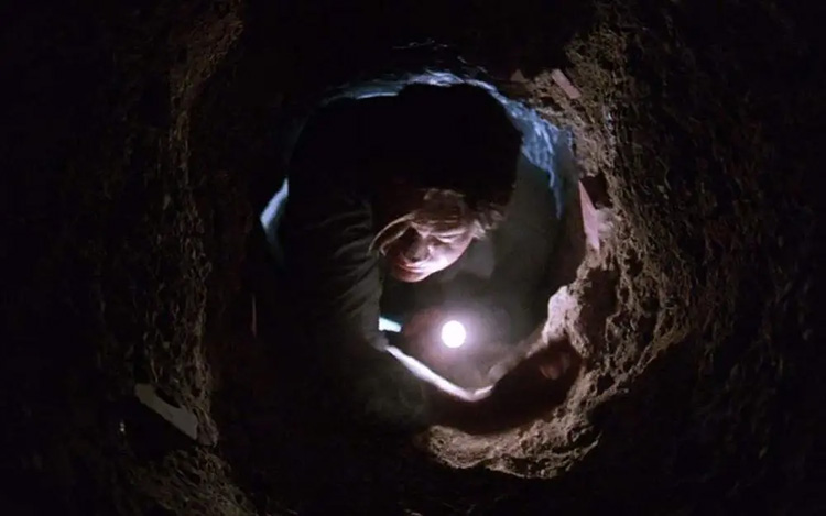 Andy Dufresne's Freedom.jpg