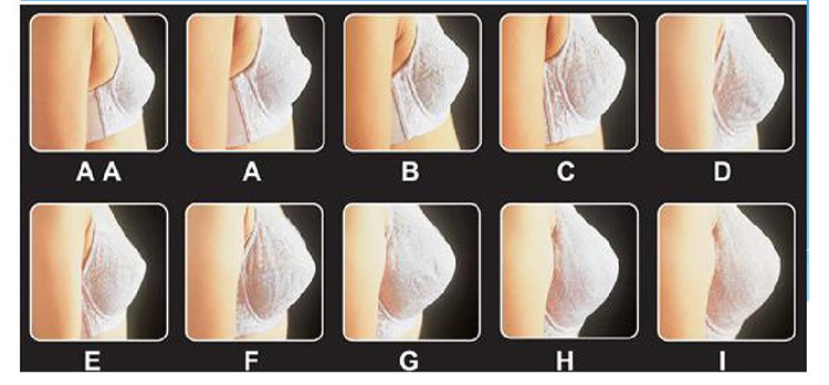 Breast Cup Size.jpg
